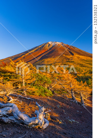 【山梨県】富士山・初冠雪と奥庭の紅葉 夕景 【山梨県】富士山・初冠雪と奥庭の紅葉 夕景 132538321