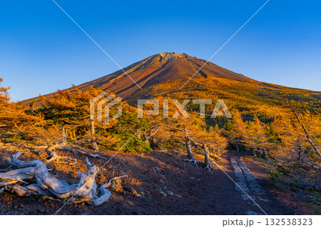 【山梨県】富士山・初冠雪と奥庭の紅葉　夕景 132538323