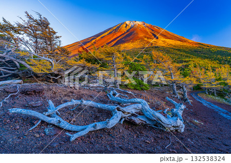【山梨県】富士山・初冠雪と奥庭の紅葉　夕景 132538324