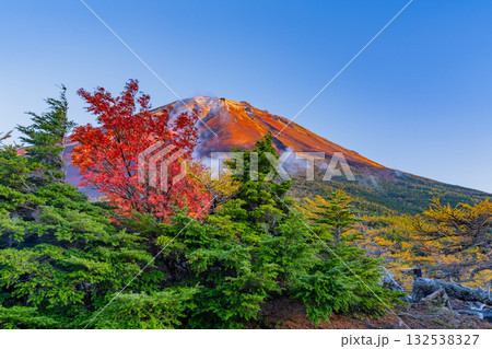 【山梨県】富士山・初冠雪と奥庭の紅葉　夕景 132538327