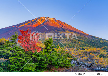 【山梨県】富士山・初冠雪と奥庭の紅葉　夕景 132538329