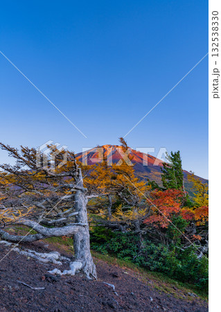 【山梨県】富士山・初冠雪と奥庭の紅葉　夕景 132538330