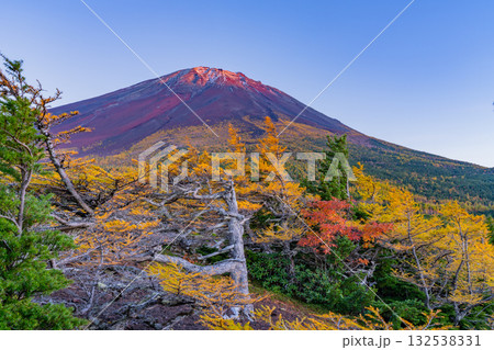 【山梨県】富士山・初冠雪と奥庭の紅葉　夕景 132538331