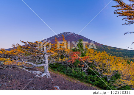 【山梨県】富士山・初冠雪と奥庭の紅葉 夕景 【山梨県】富士山・初冠雪と奥庭の紅葉 夕景 132538332