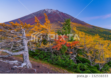 【山梨県】富士山・初冠雪と奥庭の紅葉　夕景 132538333