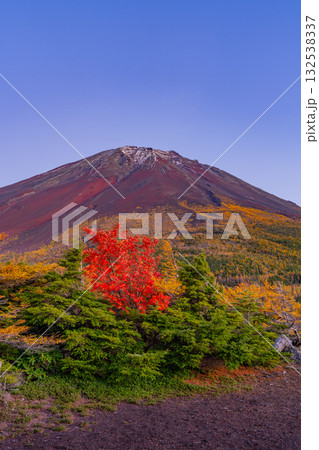【山梨県】富士山・初冠雪と奥庭の紅葉 夕景 【山梨県】富士山・初冠雪と奥庭の紅葉 夕景 132538337