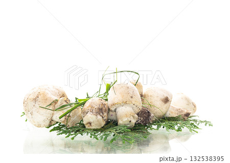 White champignons on clean white background 132538395