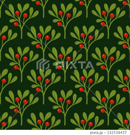 Mistletoe Seamless pattern. Mistletoe Chrisrmas ornament 132538437