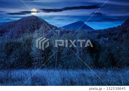 landscape with autumn forest at night. nature park with birch and beech trees in colorful foliage. clouds on sky above mountains. horizontal mystery background in full moon light landscape with autumn forest at night. nature park with birch and beech trees in colorful foliage. clouds on sky above mountains. horizontal mystery background in full moon light 132538645