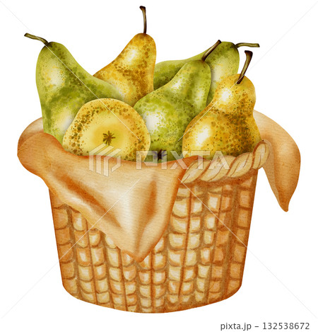 Hand painted watercolor illustration of a woven basket filled with various whole and sliced green and yellow pears. Perfect for harvest festival design, packaging, and rustic decor 132538672