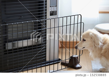 ペットの為に置いたFFストーブの前のストーブガード 132538693