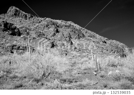 Monochrome Sonoran Desert Arizona Picacho Peak State Park 132539035