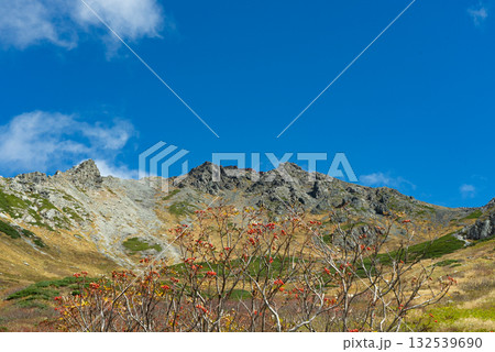 槍ヶ岳山荘を見上げて 132539690