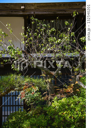 中山道妻籠宿 中山道妻籠宿 132540201