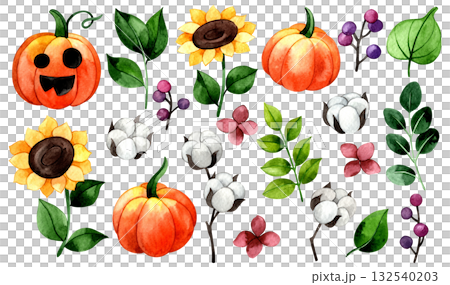Cute watercolor set with Halloween pumpkins and flowers. Cartoon illustration Cute watercolor set with Halloween pumpkins and flowers. Cartoon illustration 132540203