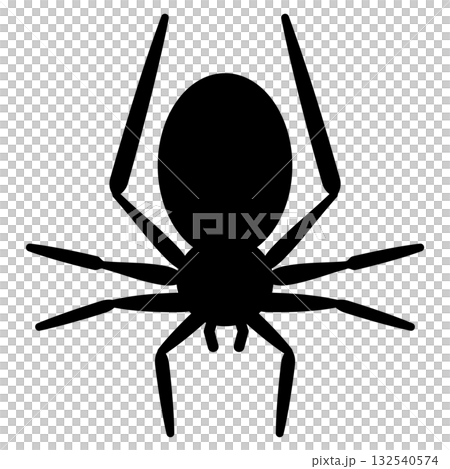 Halloween spider illustration 2 132540574
