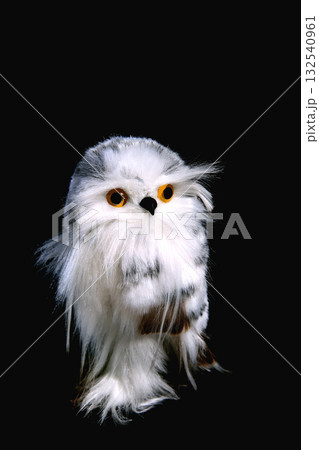 toy eagle owl on a black background 132540961