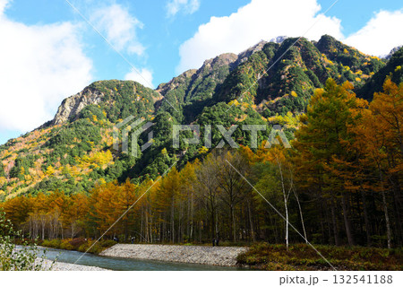 黄葉見頃の梓川右岸の景観 黄葉見頃の梓川右岸の景観 132541188
