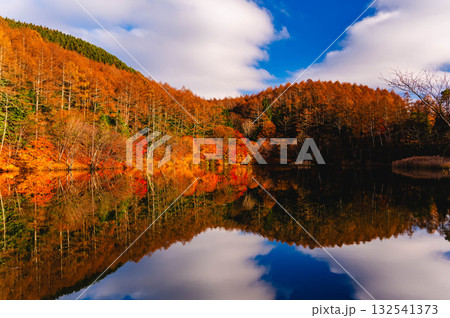 晩秋のいずみ湖 晩秋のいずみ湖 132541373