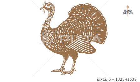 Turkey. Thanksgiving Day. Vintage retro print, artwork engraved sketch turkey drawing, old school style. Sketch artwork silhouette turkey, thanksgiving day. Side view profile. Vector Illustration Turkey. Thanksgiving Day. Vintage retro print, artwork engraved sketch turkey drawing, old school style. Sketch artwork silhouette turkey, thanksgiving day. Side view profile. Vector Illustration 132541638