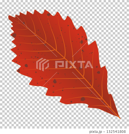 Fallen autumn dark red leaf 132541808