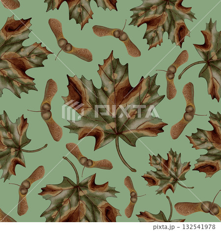A seamless hand-drawn pattern featuring maple leaves and seeds in earthy autumn tones. Autumn still life. Children's illustration. Suitable for books, packaging, cards, and children's clothing 132541978