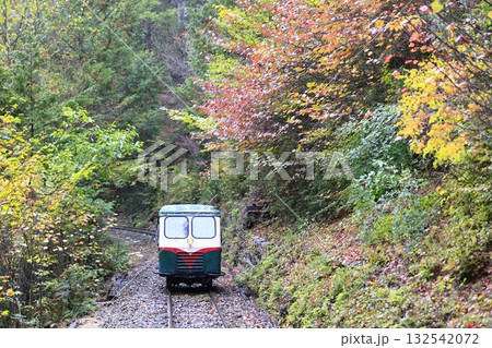 紅葉の赤沢森林鉄道 紅葉の赤沢森林鉄道 132542072