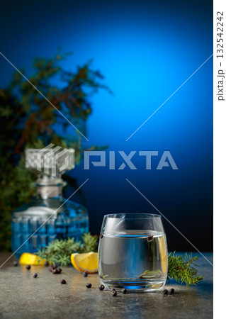 Gin and tonic cocktail with juniper branches and lemon slices. Gin and tonic cocktail with juniper branches and lemon slices. 132542242
