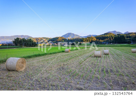 稲わらロール 132543764