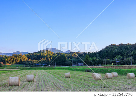 稲わらロール 132543770