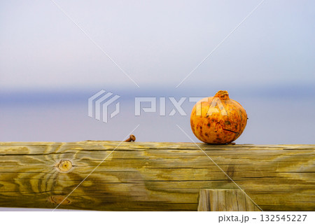 Pomegranate fruit outside against blue sea and sky Pomegranate fruit outside against blue sea and sky 132545227