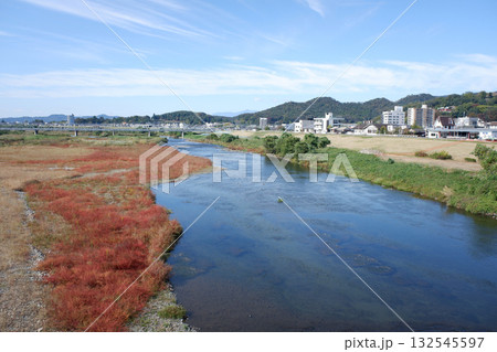 栃木県足利市　中橋より渡良瀬川上流方面の展望 132545597