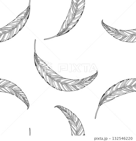 Seamless pattern of feathers. Vector ink styled handmade illustration. For packaging design, cards, cover, prints, product labels and fabric. 132546220