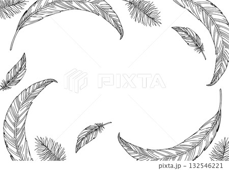 Frame of feathers and fluff. Vector ink styled handmade illustration. For packaging design, cards, cover, prints, product labels and fabric. 132546221
