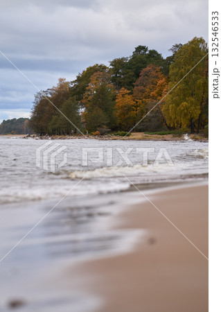 Autumn forest by sandy beach with gentle sea waves under cloudy sky. 132546533