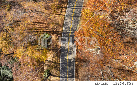 Winding mountain road in autumn woods. Appalachian mountains in North Carolina with yellow forest trees at fall season. Beauty of autumnal nature 132546855