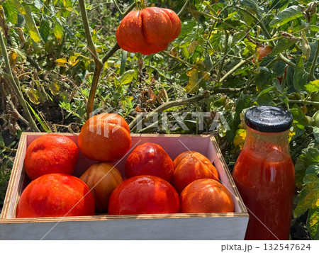 Tomatoes and bottle of tomato juice 132547624