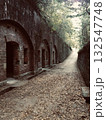 廃墟と自然 132547748