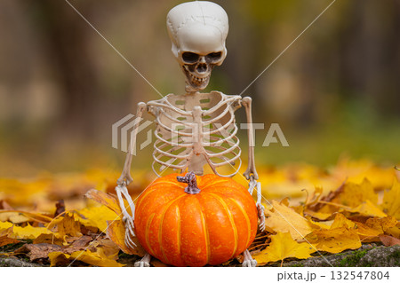 pumpkins and a skeleton for the Halloween holiday 132547804