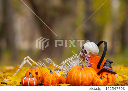 pumpkins and a skeleton for the Halloween holiday pumpkins and a skeleton for the Halloween holiday 132547808