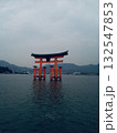 海に浮かぶ鳥居 132547853