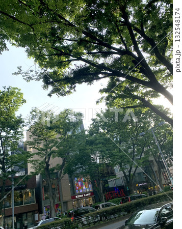 表参道メインストリート夕景3 132548174