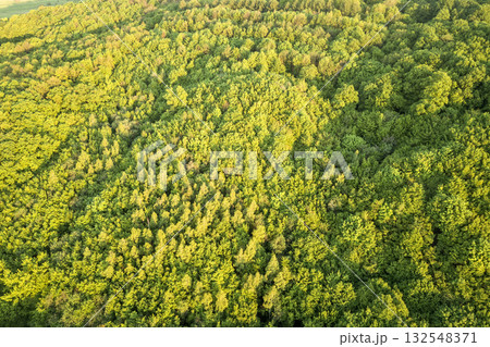 Top view of green forest on sunny spring or summer day. Drone photography, abstract background. 132548371