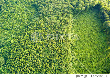 Top down aerial view of green summer forest with large area of cut down trees as result of global deforestation industry. Harmful human influence on world ecology. Top down aerial view of green summer forest with large area of cut down trees as result of global deforestation industry. Harmful human influence on world ecology. 132548394