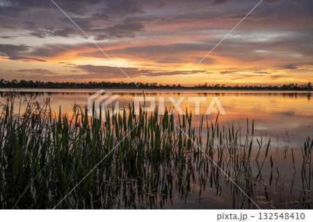 Sunset landscape in Wellen park in North Port, Florida. Beautiful lake nature in evening Sunset landscape in Wellen park in North Port, Florida. Beautiful lake nature in evening 132548410