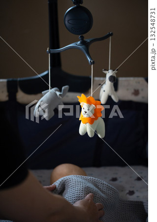 Baby Lying in Crib Looking at an Animal Mobile Toy Baby Lying in Crib Looking at an Animal Mobile Toy 132548731