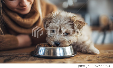 Cute puppy enjoys a meal with owner in a cozy kitchen during a sunny afternoon 132548803