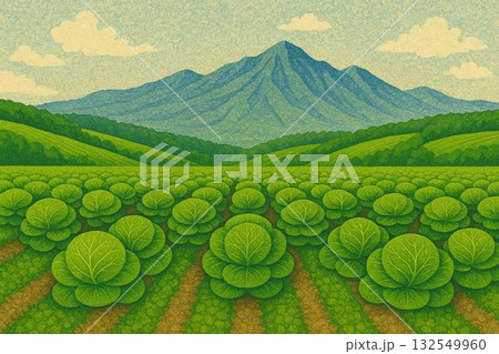 キャベツ畑 高原野菜 農業イメージ 砂絵調 キャベツ畑 高原野菜 農業イメージ 砂絵調 132549960