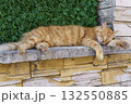 Orange tabby cat sleeping peacefully on stone wall in Istanbul Orange tabby cat sleeping peacefully on stone wall in Istanbul 132550885