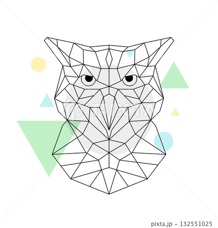 Geometric owl head design black polygonal lines abstract colorful shapes minimal modern animal art 132551025